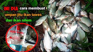 Mancing ikan tawes sirip merah  pakai pancing ombyok dasaran [upl. by Ilajna]