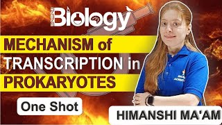 Mechanism of Transcription in Prokaryotes  NEET Biology  One Shot  Smart Achievers [upl. by Wampler867]