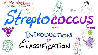 Streptococci  Introduction and Classification Group A Group B Group D  Microbiology 🧫 [upl. by Imot655]