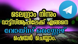 HOW TO SHARE TELEGRAM VOICE MESSEGE TO WHATS APP MALAYALAM [upl. by Lindon123]