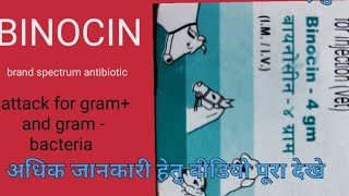 Binocin  ampicillin and cloxacillin injection ampicillin and cloxacillin uses  Manjhi Veterinary [upl. by Lawrenson]