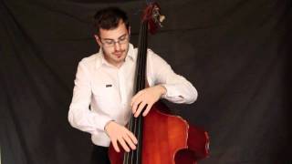 George Mraz bass solo on Beautiful Love performed by Rafael Jerjen [upl. by Arica]