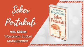 Şeker Portakalı Sesli Kitap  8 BÖLÜM  Jose Mauro de Vasconcelos [upl. by Jenelle]