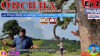 ORCHHA Ep 2 I Kalpavruksham I Rudreshwar I Balswarup Hanuman I Madhya Pradesh ఓర్చాలో చూసే ప్రదేశాలు [upl. by Boser]