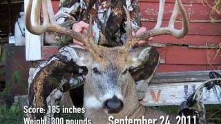 THE BIGGEST WHITETAIL HARVEST EVER CAPTURED ON A TRAIL CAMERA [upl. by Annawaj]