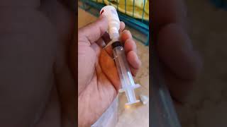 🦮🐶 🦊 How to use Melonex in dogs for Fever or Swelling 🐻 🐕 🐕‍🦺 [upl. by Eireva638]