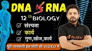 DNA amp RNA  Difference Between DNA and RNA  Full Concept  Class 12 Biology [upl. by Anairol234]