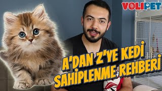 KEDİ SAHİPLECEKLERİN BİLMESİ GEREKENLER Kedi Bakımı Mama Tüy Dökmesi Kedi Aşıları [upl. by Lynnea]