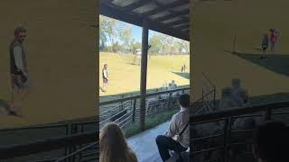 Australian Kelpie in Sheep dog encounter session kelpie australia sheepdog sheep shorts viral [upl. by Atyekram]