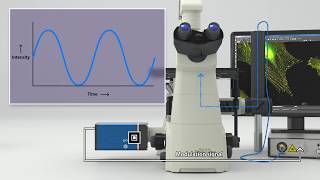 Fluorescence Lifetime Imaging FLIM with a focus on frequency domain FLIM with pcoflim [upl. by Vtehsta]