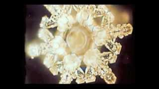 Masaru Emoto  Water Experiments [upl. by Vani]