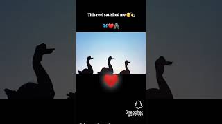 this is a satisfaction song for heart ❣️ shorts video for satisfaction ❤️🤞❤️ [upl. by Andel]