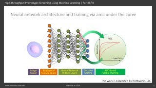 Highthroughput Phenotypic Screening Using Machine Learning  Part III [upl. by Mckeon]