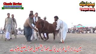 Horse Dance Jashne Bodla Bahar Day 2nd 2017 Abadi Shahbaz Nagar Pakpattan 23 [upl. by Yesdnik]