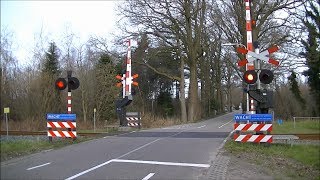 Spoorwegovergang Raalte  Dutch railroad crossing [upl. by Soluk825]