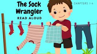 The Sock Wrangler Bedtime Read Aloud Story [upl. by Roose216]