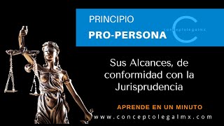 PRINCIPIO PRO PERSONA  CONCEPTO ALCANCES Y FUNDAMENTO LEGAL [upl. by Eellehs]