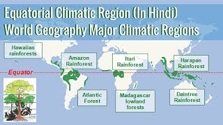 Equatorial Climatic Region  World Geography Major Climatic Regions in Hindi [upl. by Yrro]