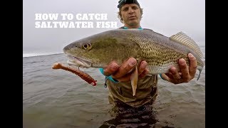 SALTWATER Lure Fishing 101  Beginners Guide MADE EASY to Catch SALTWATER FISH with lures [upl. by Adnawat]