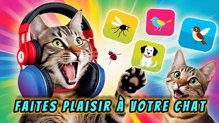 Les sons préférés des chats  comment attirer un chat  GARANTI [upl. by Nasar]