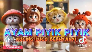 ANAK AYAM PIYIK PIYIK VERSI KUCING LUCU BANGET TERBARU [upl. by Neelear123]