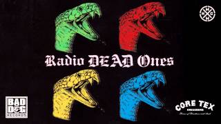 RADIO DEAD ONES  GAMBIAN BUMSTERS  ALBUM RADIO DEAD ONES  TRACK 12 [upl. by Khajeh20]