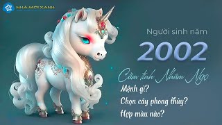 Người sinh năm 2002 Tuổi Nhâm Ngọ hợp cây gì  màu gì  Phong thủy tuối Nhâm Ngọ  Nhà Mới Xanh [upl. by Formica]