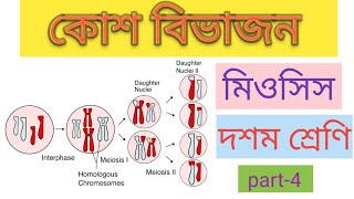 class 10th Life sciencemeiosis মিওসিস cell Division full concept part1 [upl. by Yreffoeg]