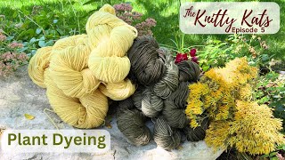 Plant DyeingNaturally Episode 5 [upl. by Hsivat]