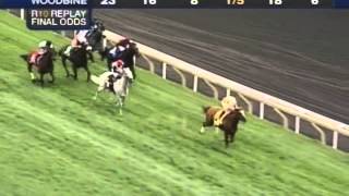 2013 Woodbine Mile  Wise Dan [upl. by Aset92]