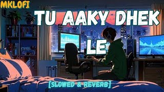 TU AAKY DHEK LY SLOWED amp REVERB KING MKLOFI [upl. by Hameerak213]