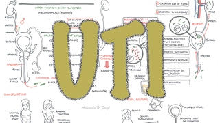 Urinary Tract Infection  Overview signs and symptoms pathophysiology causes and treatment [upl. by Barina]