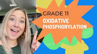 OXIDATIVE PHOSPHORYLATION  Cellular Respiration [upl. by Nwahs]