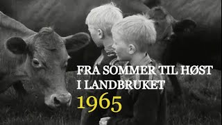 Fra sommer til høst i landbruket  1965 [upl. by Akiram]