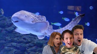 💥 ATLANTIS AQUARIUM con NIÑOS  Moderno que el Acuario del ZOO de Madrid Tiburones Flipantes [upl. by Nancie]