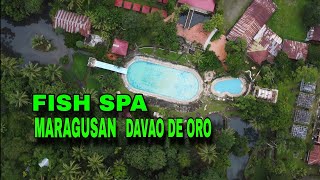 AGUAKAN COLD SPRING RESORT  MARAGUSAN DAVAO DE ORO  AERIAL CINEMATIC SHOT [upl. by Zeb]