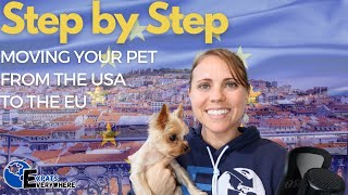 HOW TO Move With Your Pet from The US to Europe  Step by Step Guide 2020  Expats Everywhere [upl. by Ennovyhs]