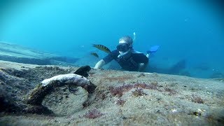 Snorkelen bij Tenerife [upl. by Job]