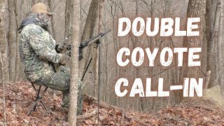 Double Coyote CallIn [upl. by Atinot]