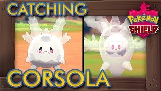 Pokémon Sword amp Shield  How to Catch Corsola amp Evolve it into Cursola [upl. by Ortensia]