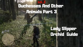 RDR2  Duchesses And Other Animals Part 3  Lady Slipper Orchid Guide [upl. by Thilde]