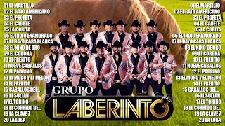 Los Mejores Corridos De Caballos De Laberinto  Grupo Laberinto Mix Puros Éxitos Corridos Caballos [upl. by Reivax]