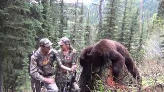 Girl Shoots BIG BEAR  spot n stalk Stuck N the Rut 27 [upl. by Lole337]