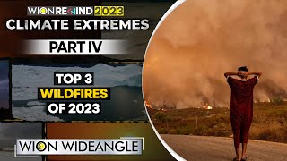 Record year of Wildfires Canada Hawaii Greece  WION Wideangle [upl. by Spalla]