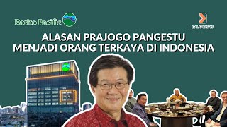 Prajogo Pangestu Orang Terkaya di Indonesia  Serial Cerita Bisnis saham investasisaham investing [upl. by Mitchiner150]