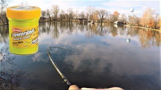 BEST Powerbait RigSetup  TROUT Fishing PondsLakes [upl. by Nibas]