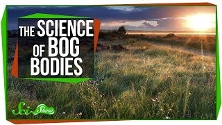 Chemistry amp Corpses The Science of Bog Bodies [upl. by Hanford829]