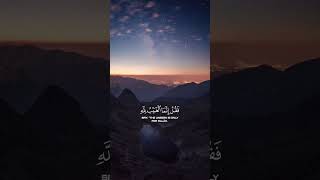 تلاوة من سورة يونس  عبدالرحمن مسعد  quran quranalkarim reels لايك عبدالرحمنمسعد اكسبلور [upl. by Lynnette]