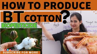 PRODUCTION OF BT COTTON MECHANISMBIOTECHNOLOGYNEET2025Recombinant DNA technology CUETKVS HTET [upl. by Weide]