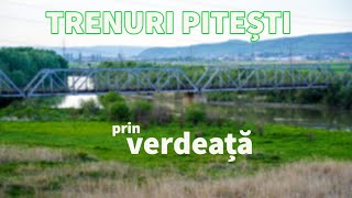 🌳🌿🚆 Trenuri prin verdeață la Pitești [upl. by Atiuqahs]